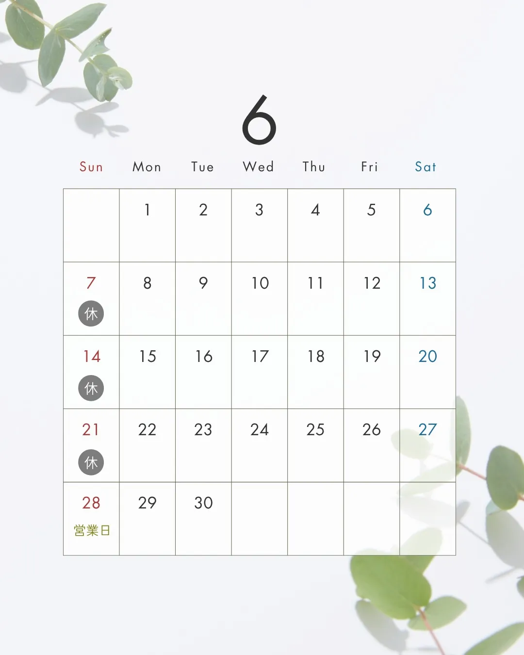 6月営業日です🍃