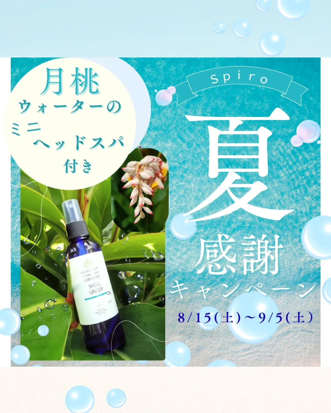 夏の感謝キャンペーン開催中です🌻
