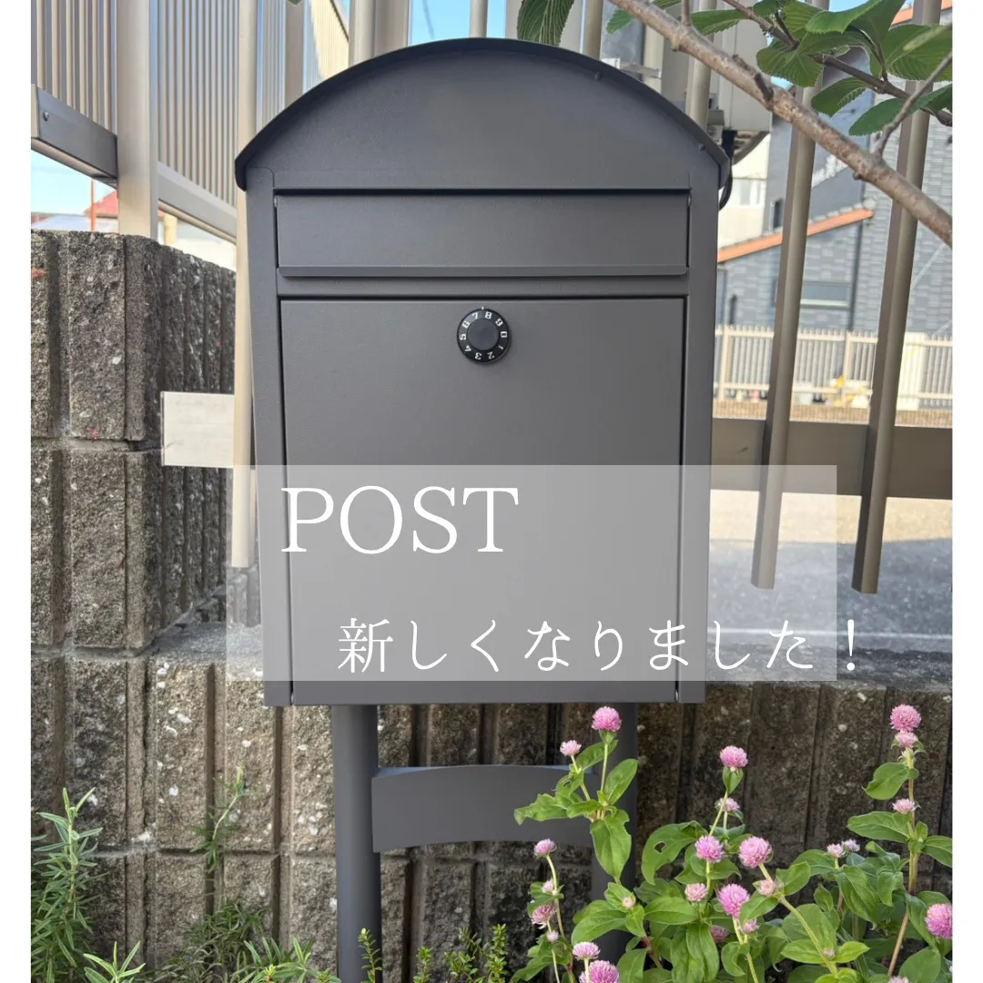スピロの日頃のできごと🌿